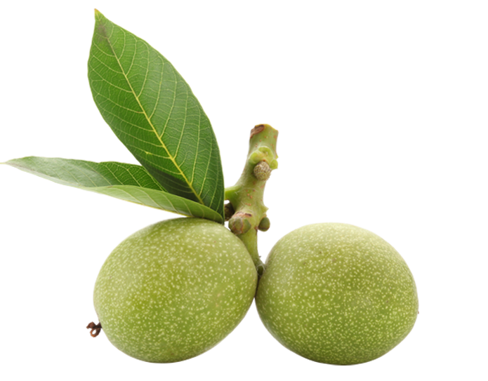 Fruit Animate
