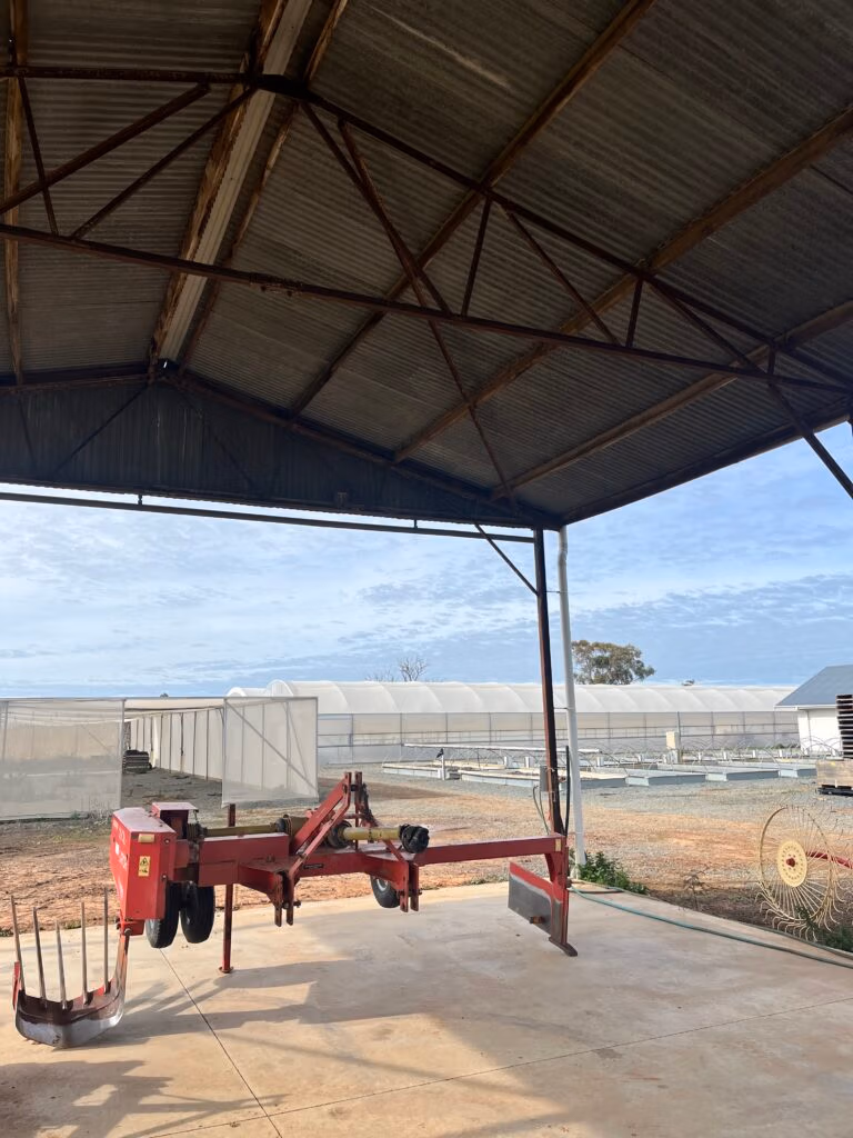 walnut farm gallery, Australian walnut farm