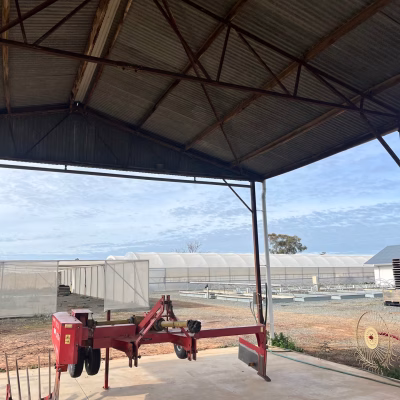 walnut farm gallery, Australian walnut farm